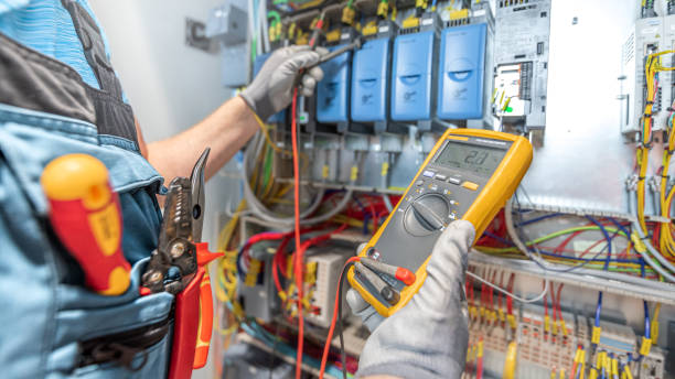 Best Ceiling Fan Installation Electrician  in Elk Mound, WI