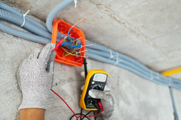 Best Home Electrical Repair  in Elk Mound, WI