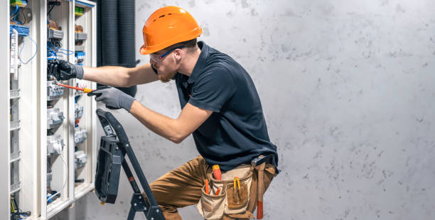 Best Electric Panel Repair  in Elk Mound, WI